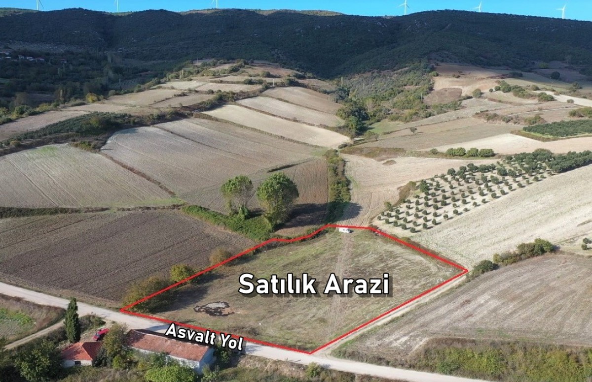 Karacabey Çeşnigir Çamlıca Arası Asfalta Cepheli Satılık Arazi 6.500.m2